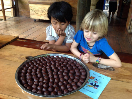 Chocolate Tour