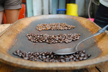 Coffee Tour