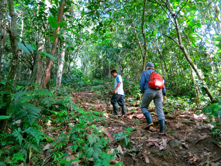 Hiking
