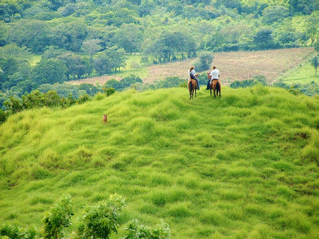 Horseback Riding