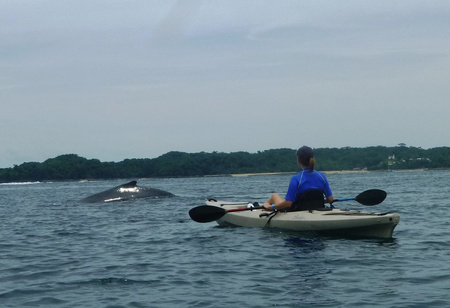 Kayaking
