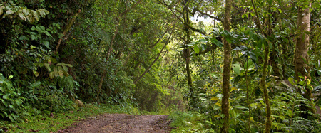 Nature Walk