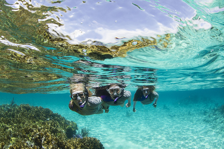 Snorkeling