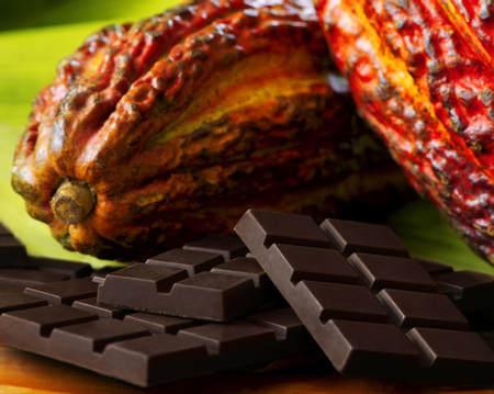 Chocolate Tour