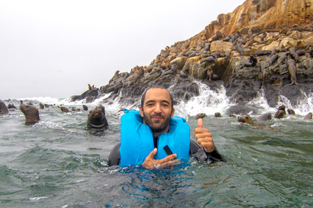 Marine Wildlife