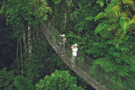 Suspension Bridges
