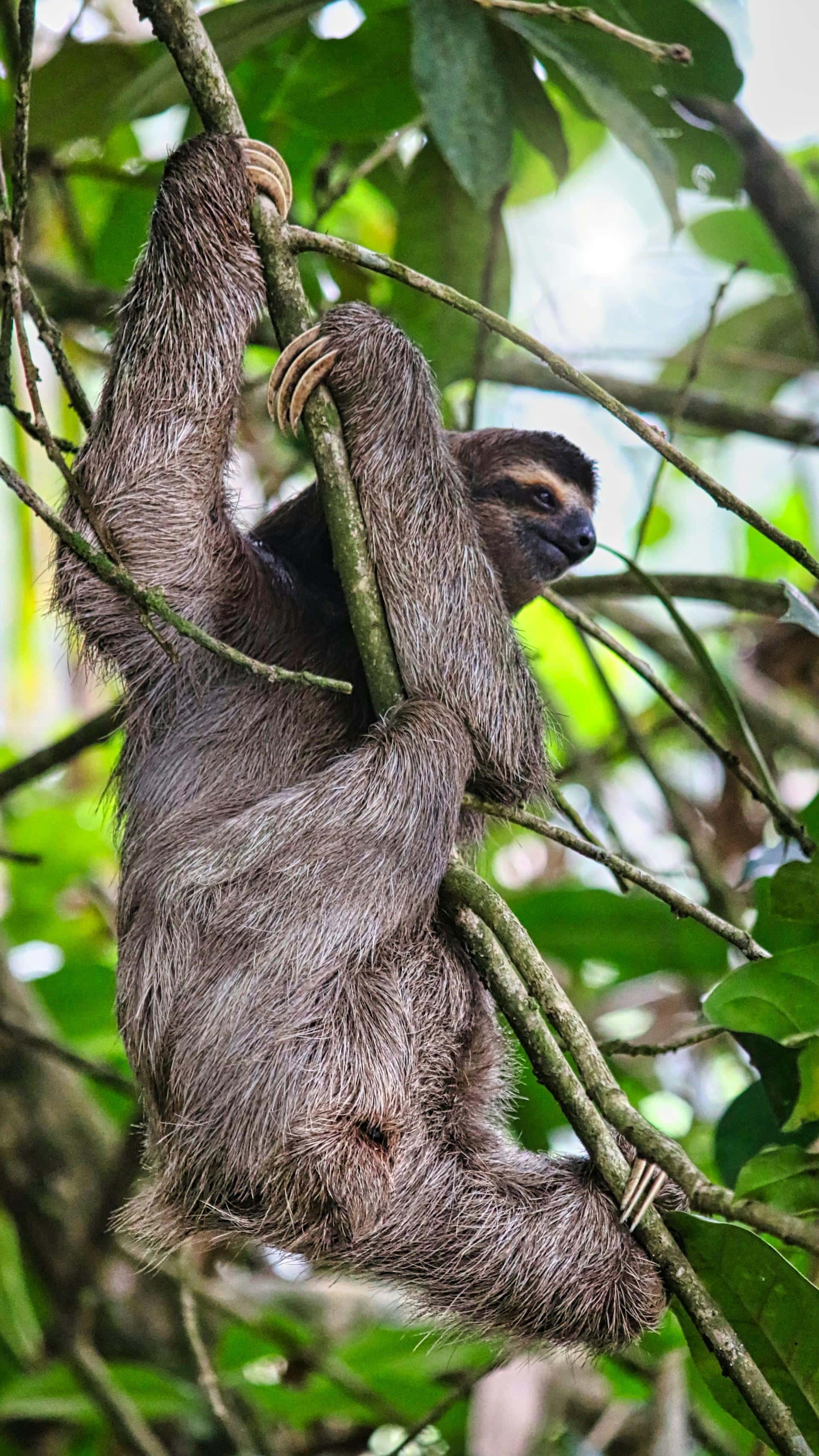 costa-rica
