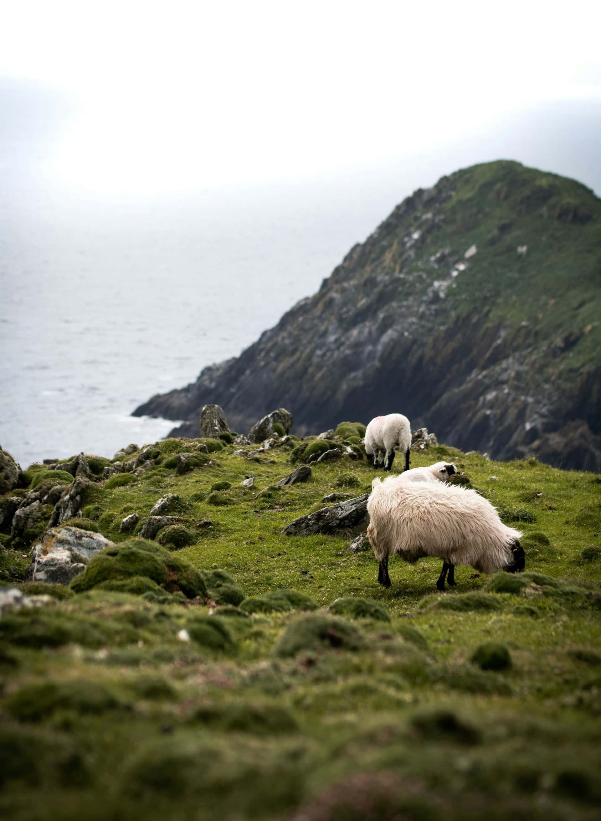 ireland