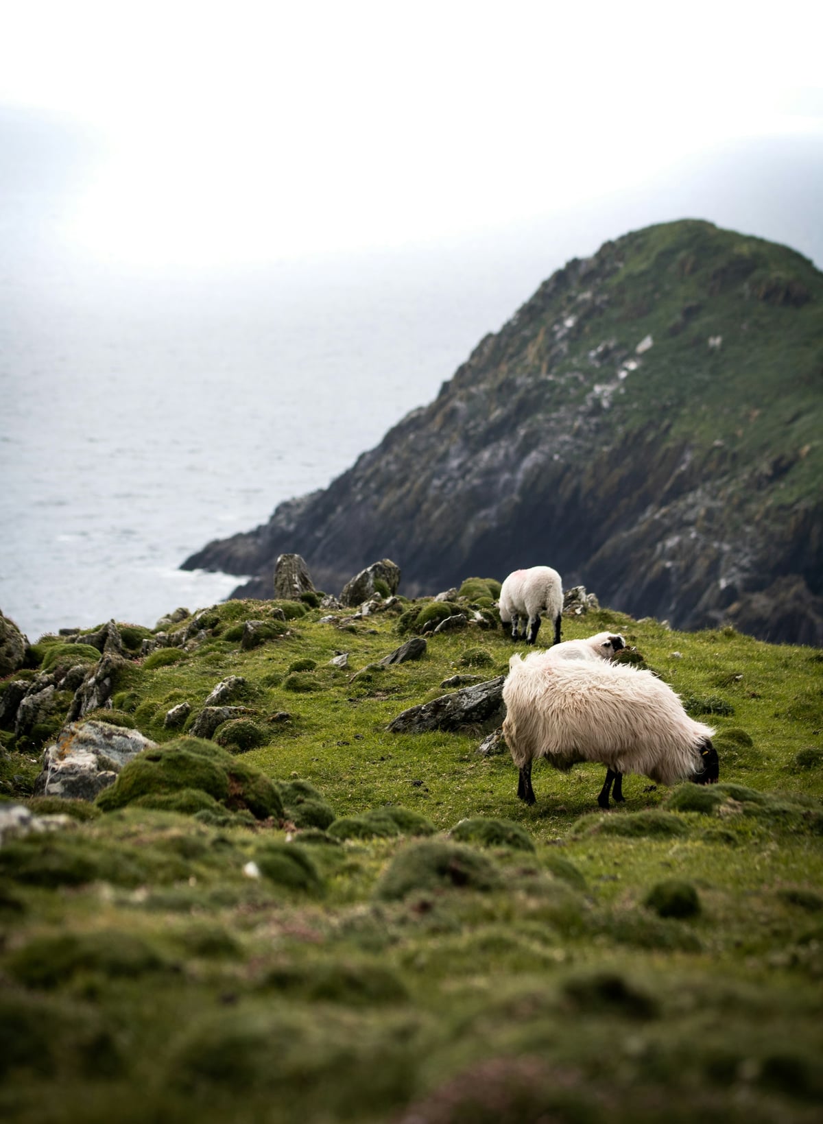 Ireland Destination