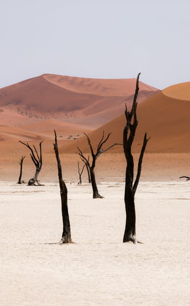 Namibia Destination