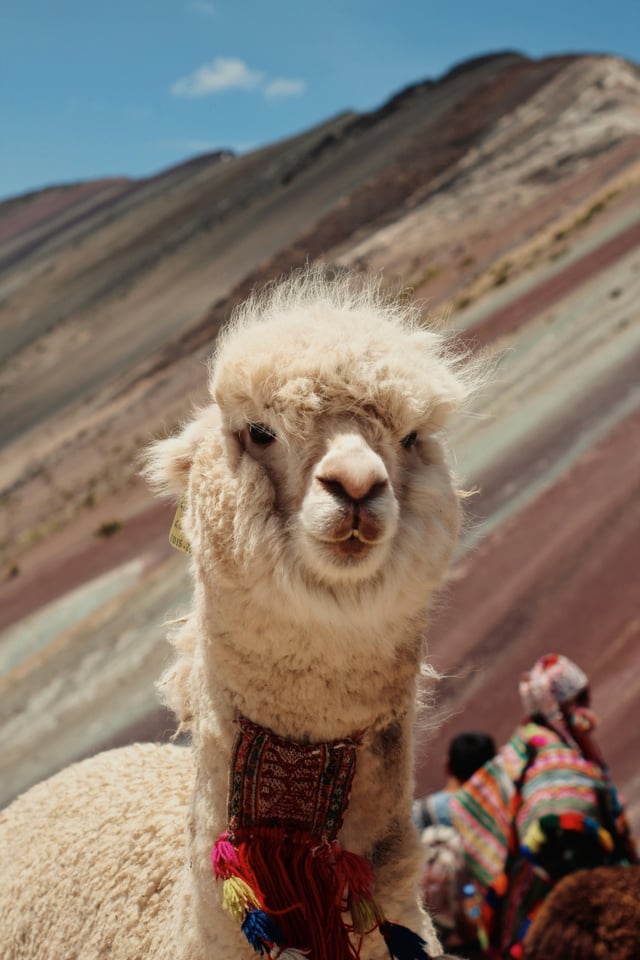 Peru Destination