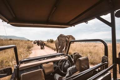 Tanzania Destination