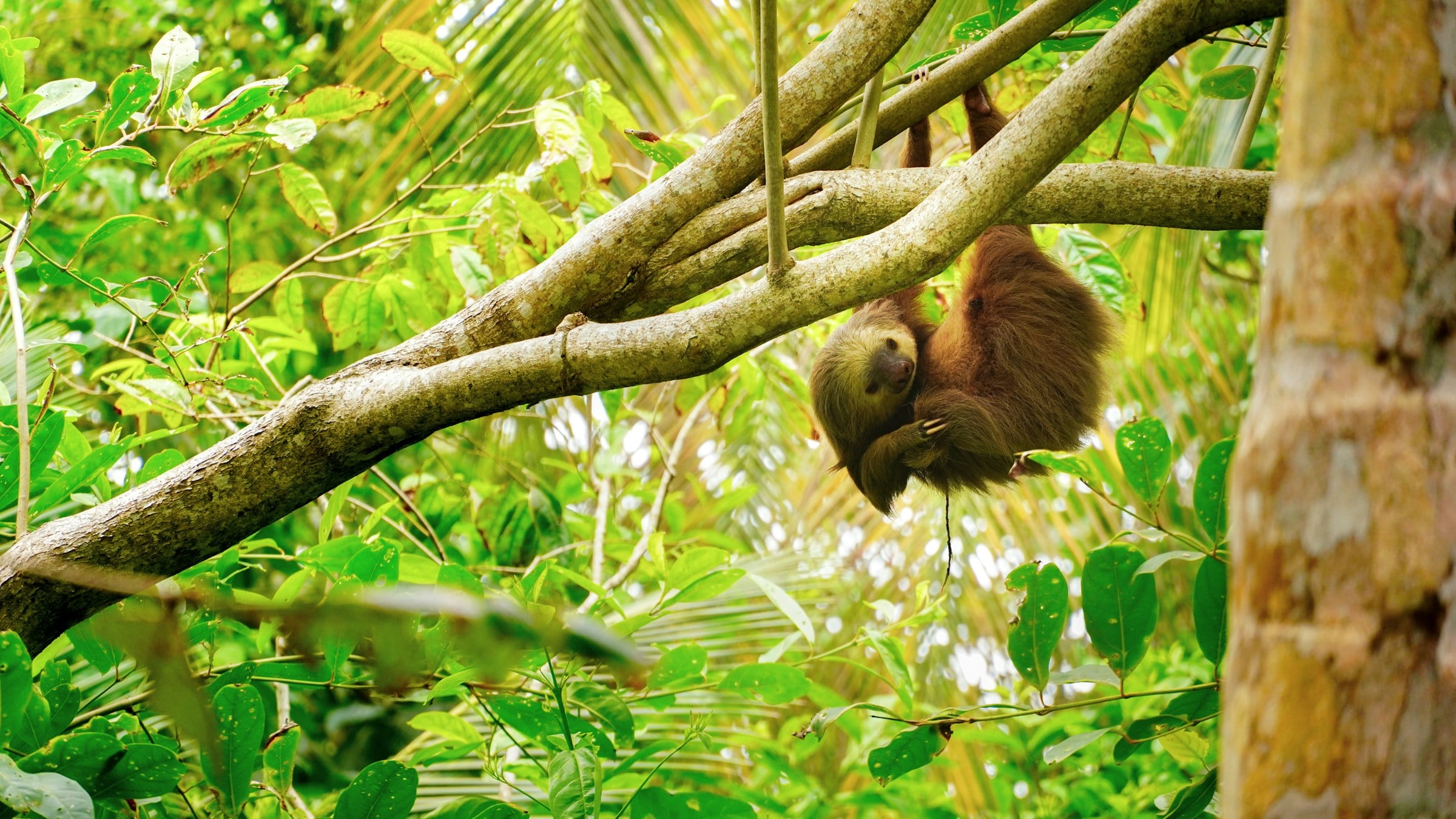 Costa Rica
