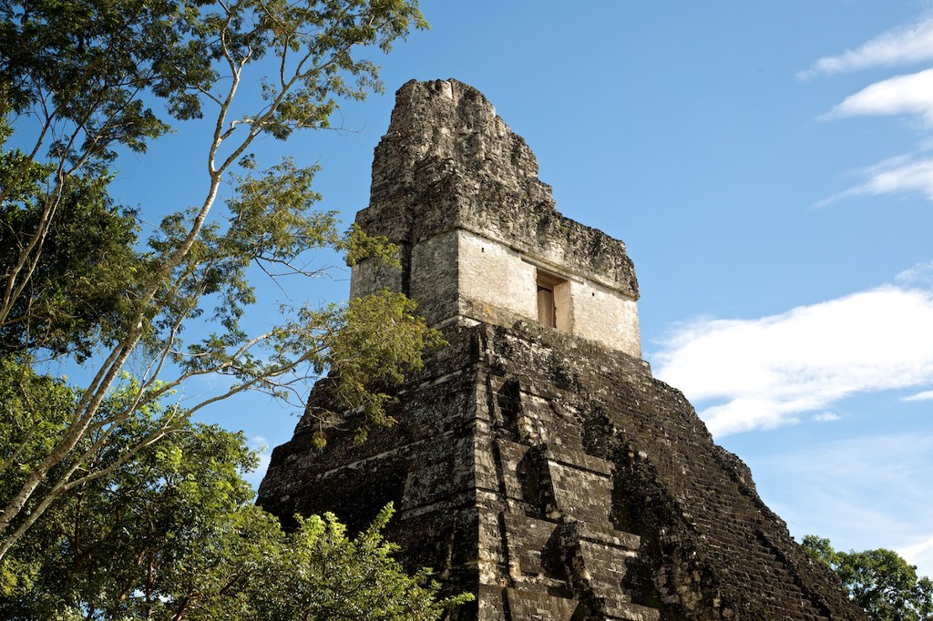 Central and South American Ruins Image: One of Tikal's structures is reaching past the jungle canopy and into the sky.