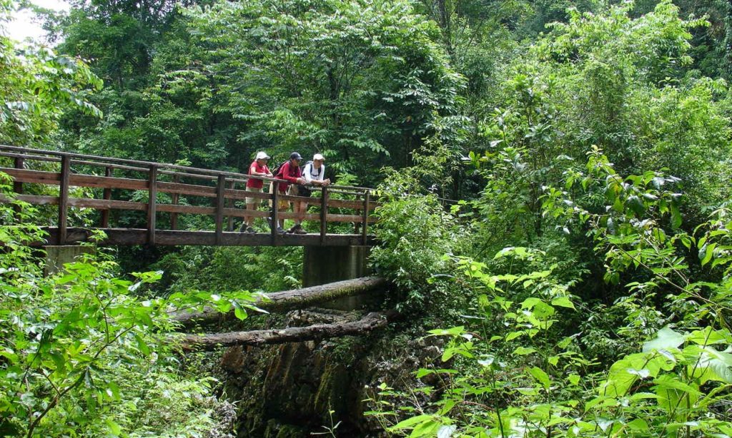 Rainforests & Natural Wonders Image: Alta Verapaz. Three travellers stand on a bridge and take in the beauty of Alta Verapaz.