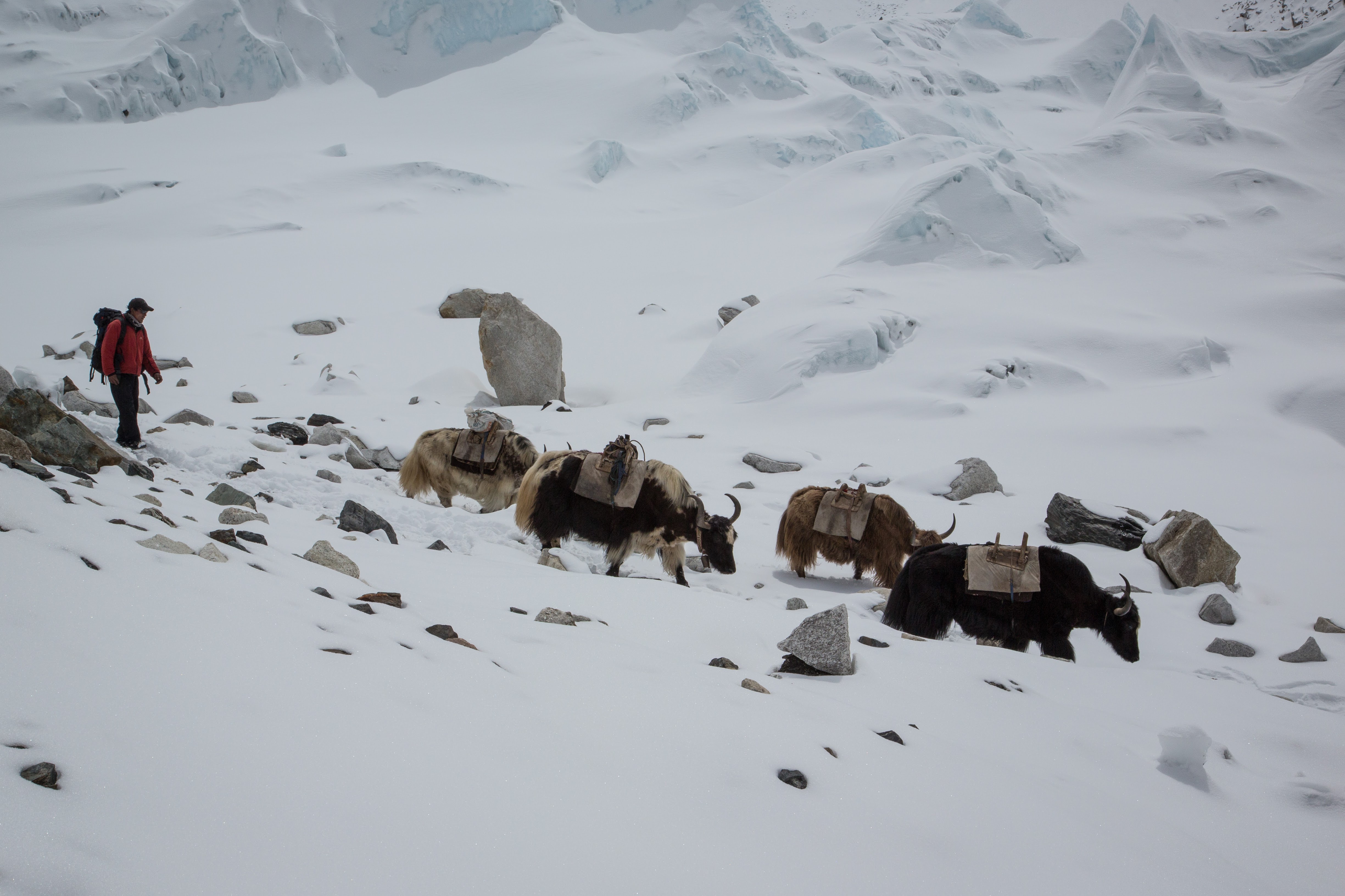 How To: Train to Trek to Mt. Everest Base Camp