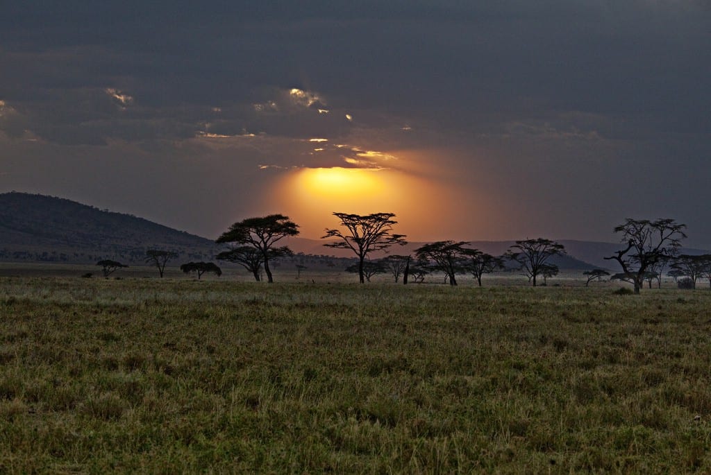 Destinations Worth Dreaming Image: A hint of golden sunglight graces green plains dotted with a handful of trees.