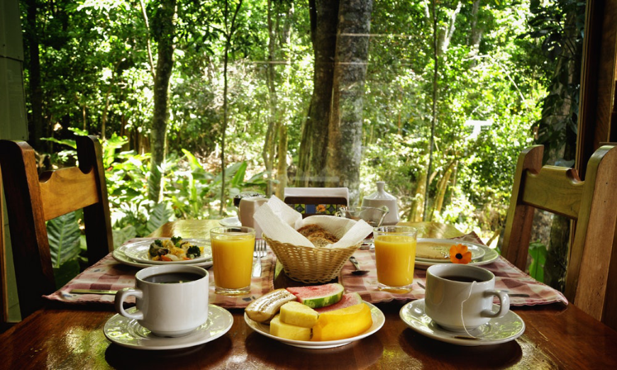 A quiet breakfast is a pleasant breakfast. Green Season Image: A breakfast of fruit, juice, coffee, and rolls at Cala Lodge.