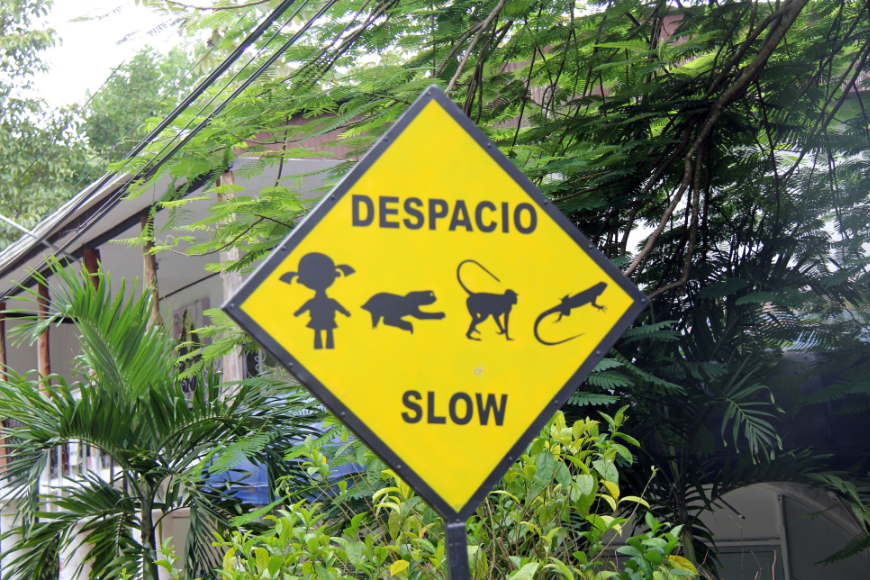 Make-A-Wish Costa Rica Image: A yellow caution sign reads 'Depacio' or 'Slow,' and has an image of a child, sloth, monkey, and lizard.