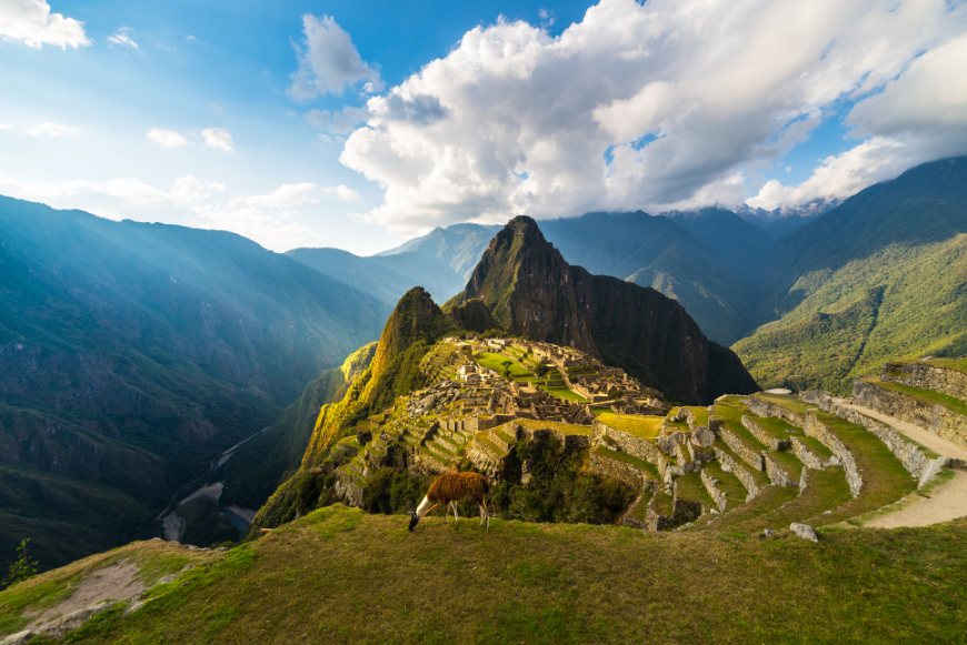 Machu Picchu, Peru. Peru or Ecuador Image: Light streams down as a llama grazes in the foreground with Machu Picchu in the background.