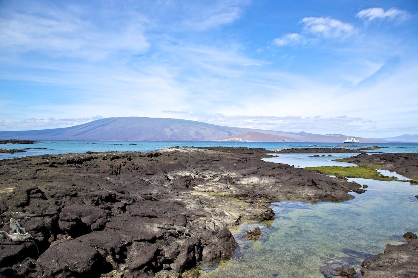 Photos Of The Galápagos Image: A photograph of a rocky Galápagos landscape dappled with shallow pools. The sky is blue, and there is a land mound in the background.