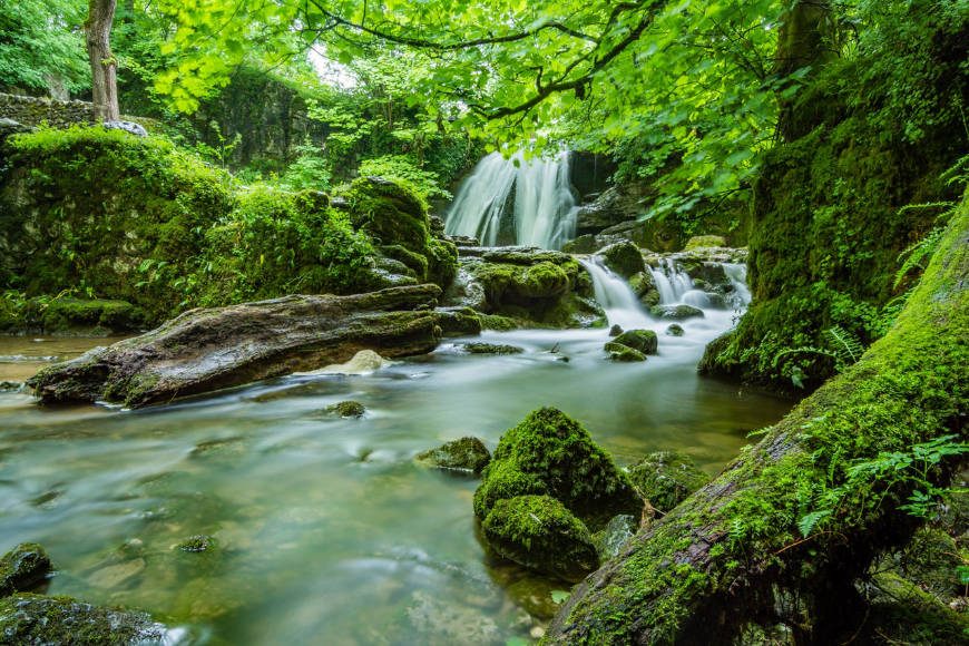 Can Sustainable Tourism Entrepreneurs Save The Travel Industry?