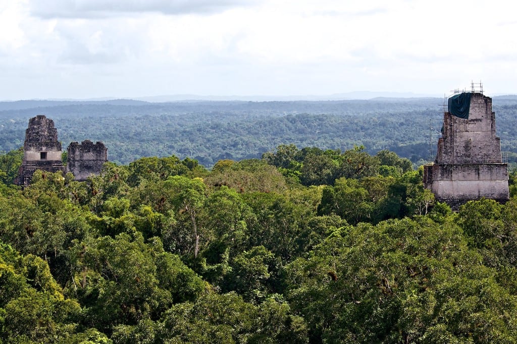 It's not easy to build above the canopy without harming the surrounding area, especially in ancient times. Central and South American Ruins Image: Three structures are poking their architectural heads above the canopy. We see an opening in at least one of them.