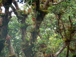 Juan Castro Blanco National Park Costa Rica