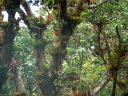 Juan Castro Blanco National Park