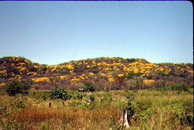 Reserva Biológica Lomas Barbudal photo 2