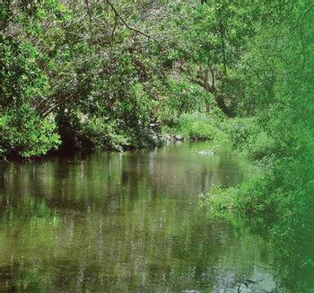 Reserva Biológica Lomas Barbudal photo 3