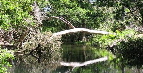Reserva Biológica Lomas Barbudal Costa Rica