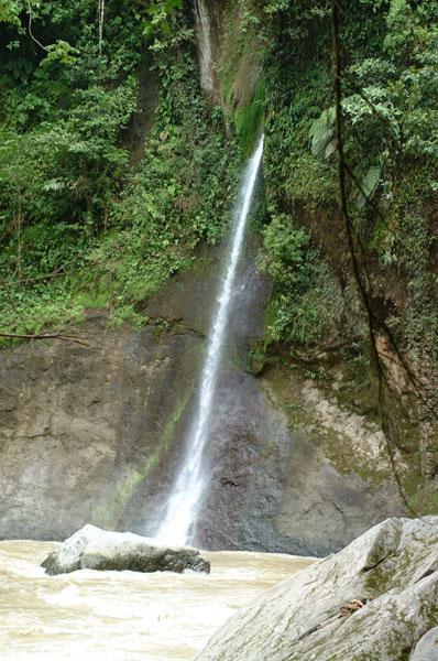 Refugio Nacional de Vida Silvestre Barra del Colorado Costa Rica