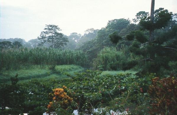 Aviarios del Caribe Reserve