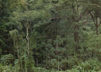 Hitoy-Cerere Biological Reserve Costa Rica