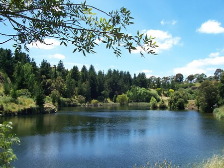 Wilson Botanical Gardens