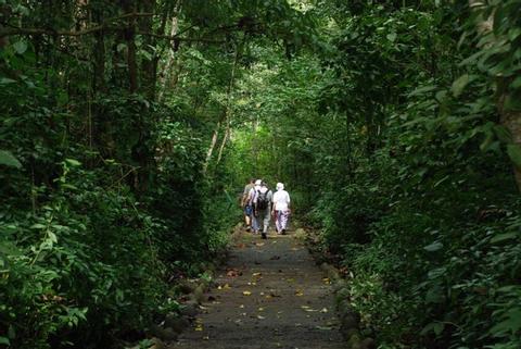 Carara National Park Costa Rica