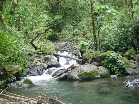 Penas Blancas National Park Costa Rica