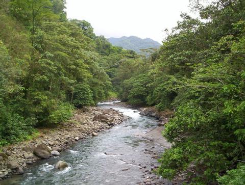 Penas Blancas National Park Costa Rica