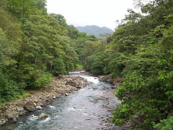 Parque Nacional Peñas Blancas photo 3