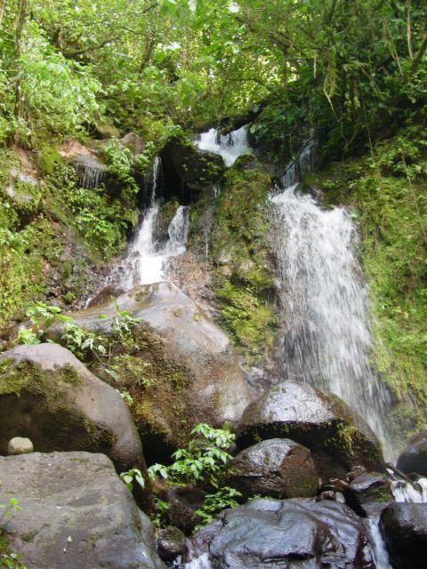 Penas Blancas National Park Costa Rica