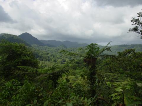 Parque Nacional Peñas Blancas Costa Rica