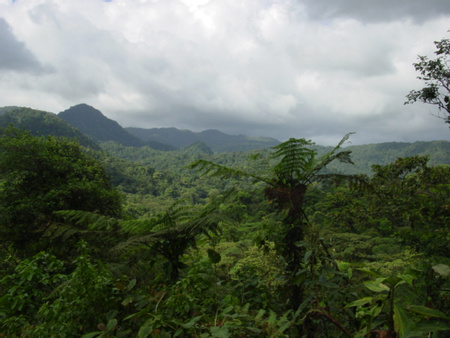 Penas Blancas National Park