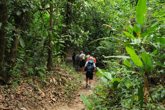 Sirena Biological Station