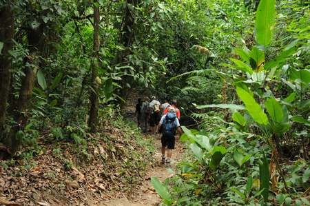 Sirena Biological Station