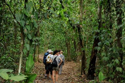 Estación Biológica Sirena Costa Rica