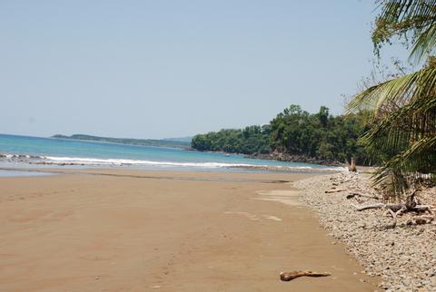 Marino Ballena National Park Costa Rica