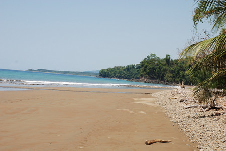 Marino Ballena National Park photo 3