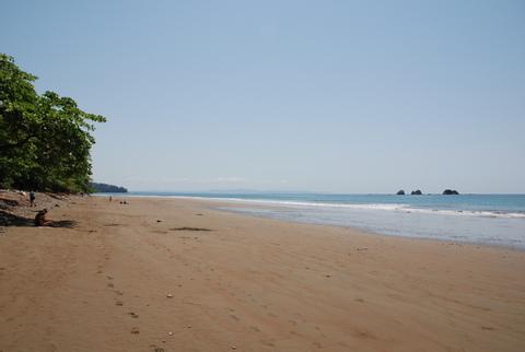 Marino Ballena National Park Costa Rica