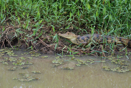 Rio Frio photo 2